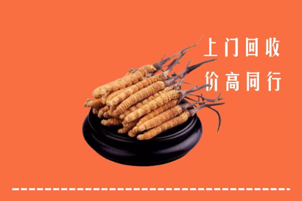 高价求购：尖扎县回收散虫草