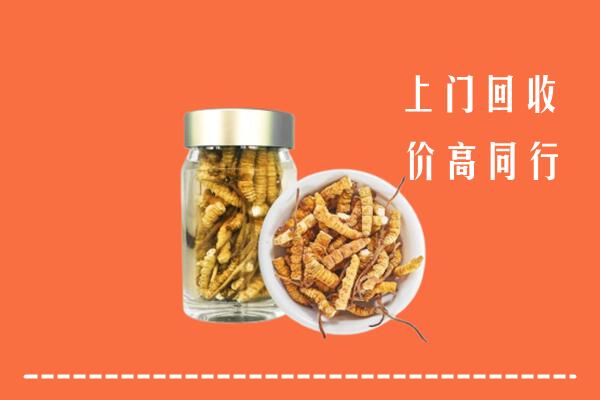 尖扎县回收冬虫夏草